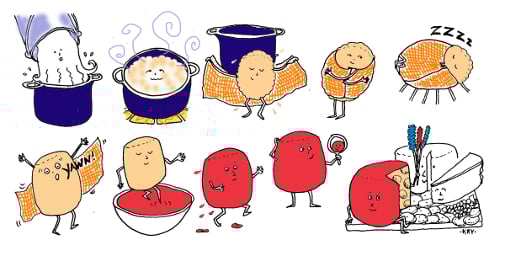 Get Cheesy: Make Curds and Mozzarella