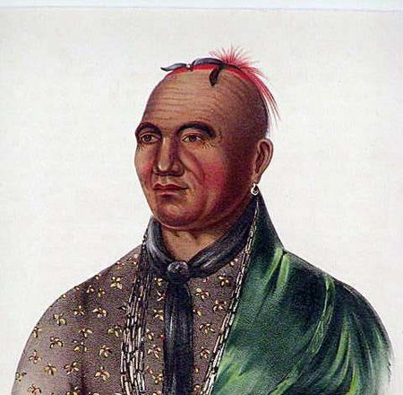 Native Americans and the American Revolution: Choosing Sides 