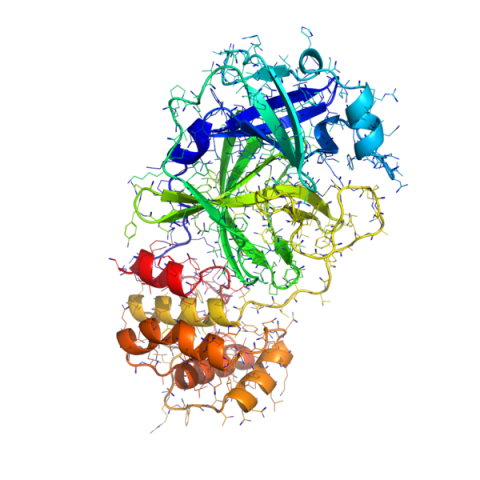 Coronavirus Overview: Resources and Prevention