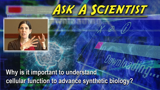 Ask a Scientist: Susanne Rafelski -- Why is it important to understand cellular function to advance synthetic biology?