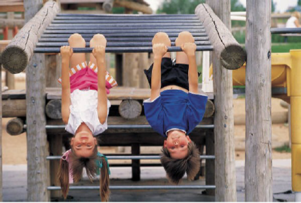 FAQs: Chromated Copper Arsenate (CCA)