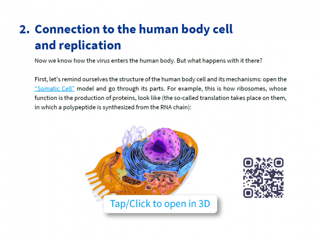Spread and replication of SARS-CoV-2