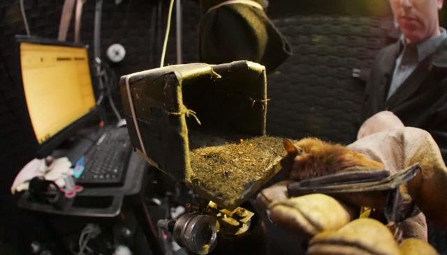 Science Nation 291: Batlab studies echolocation to learn how animals "see" with sound