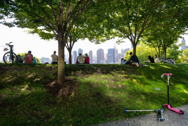 Sustainable Cities: Nature-based Solutions in Urban Design