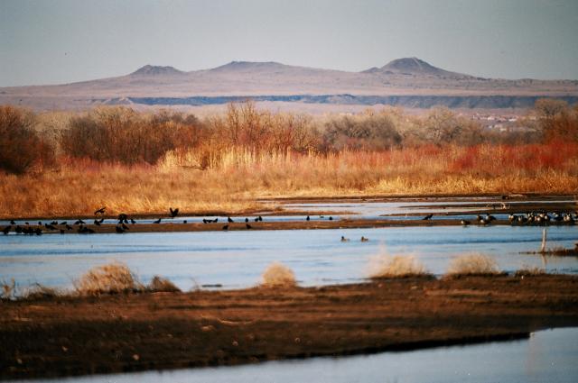 Geology: The Rio Grande Rift