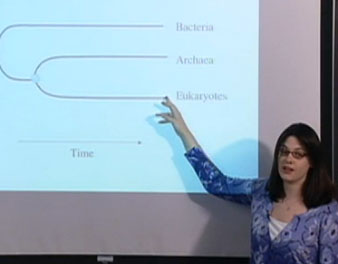 Classifying Animals by Appearance Versus DNA Sequence