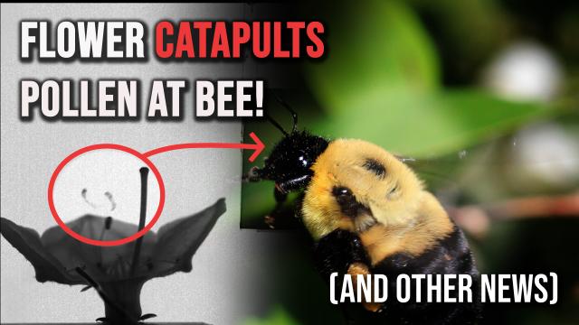 4 awesome discoveries you probably didn't hear about this week -- Ep. 6