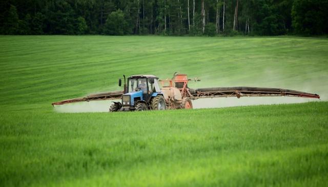 Science Nation 288: Genomic science uncovers genes that enable plants to grow more with less fertilizer