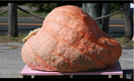 Physics of Giant Pumpkins Video