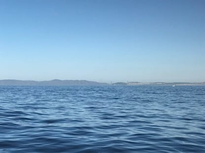 Lesson Plan: A Carbon Molecule's Journey