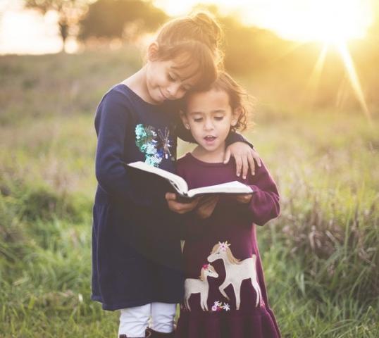 Making Wonders Work: A Guide to Adapting the K-6 Literacy Program