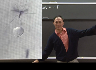 How Mosquitoes Fly in the Rain