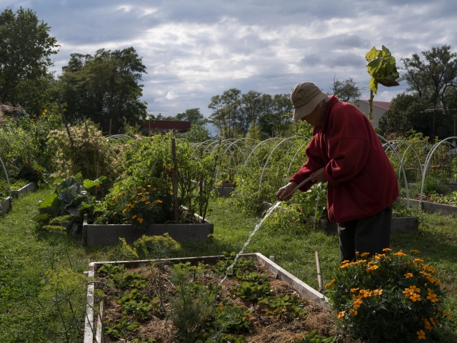 Water - Gardens Activity Guide