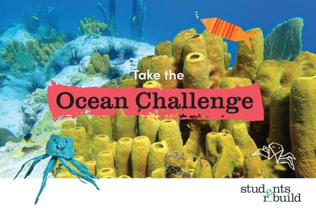 Join The Students Rebuild Ocean Challenge To Restore Marine Health And Support Coastal Communities
