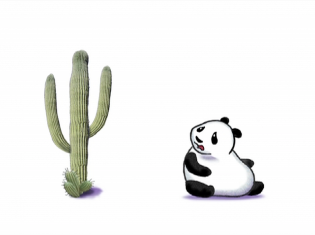 Why don't pandas live in the desert?