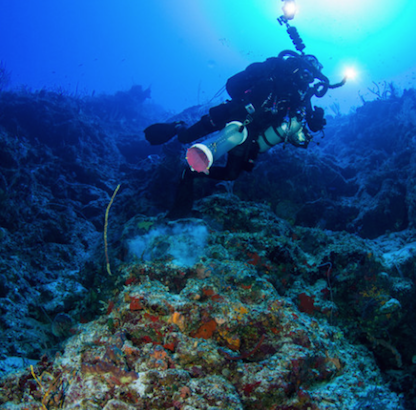 Lesson Plan: Buoyancy Bulls-Eye