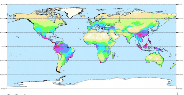 Discovering Rainforest Locations