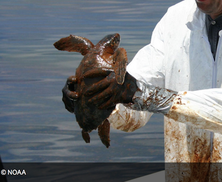 Fossil Fuels: Facing the Issues