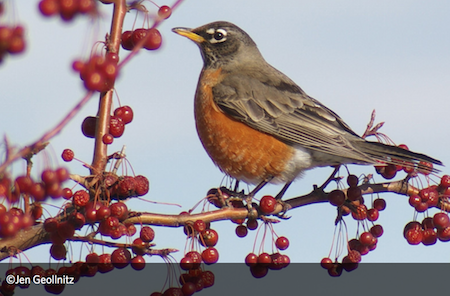 Lesson Plan: Come and Get It!