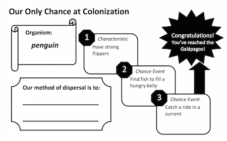 Coincidental Colonization