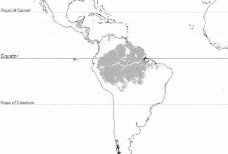 Post-Visit Activity: Tropical Belt