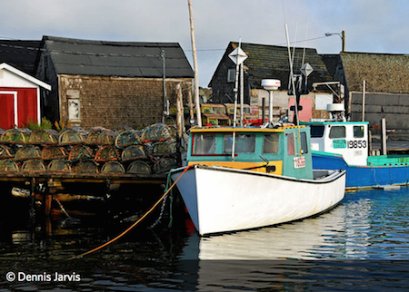 Academy Seafood Market and Fishery
