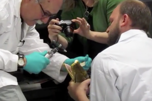 Python Physical Exam