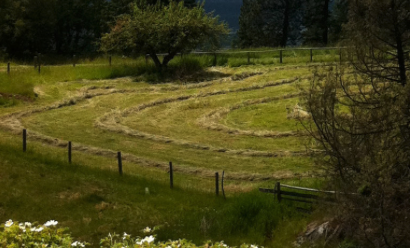 The Consciousness of Nature | Global Oneness Project