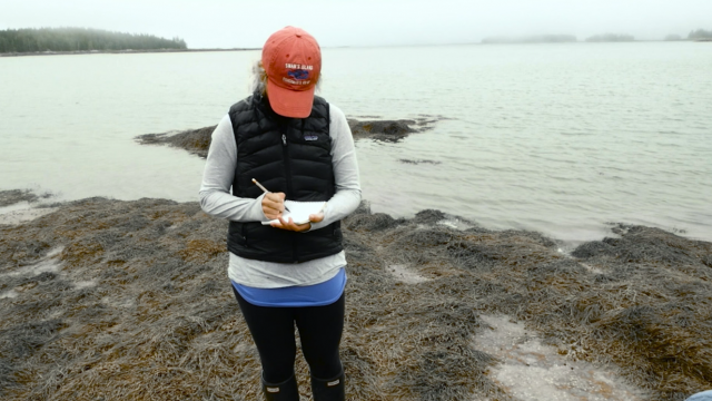 Pick your passion with Citizen Science 