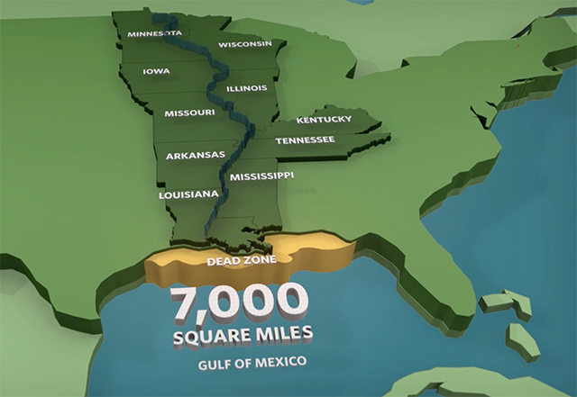 Healthy Oceans: Solutions to Human Impacts