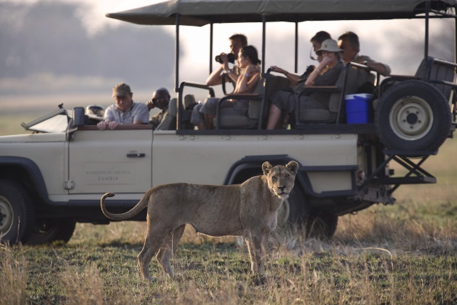 The Value of Ecotourism