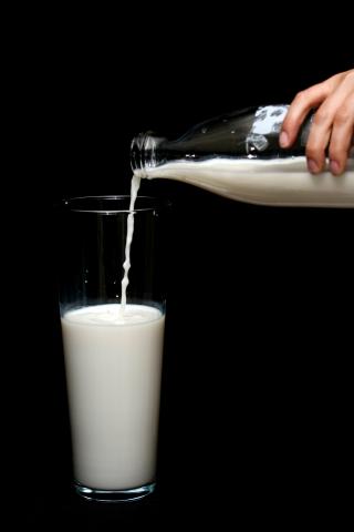 What You Don’t Know About Your Dairy Products