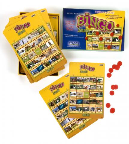 Bingo Generator Lesson Plan