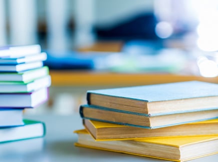 Wonder Novel HyperDoc Template