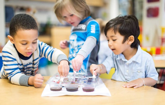 Violet, Blue, Green and Yellow Color Activity