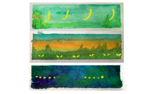 Firefly Communication