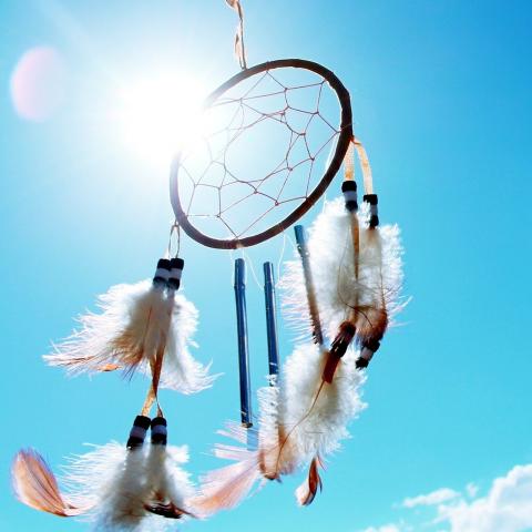 Native American Influences