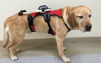 NSF Science Now: Episode 39