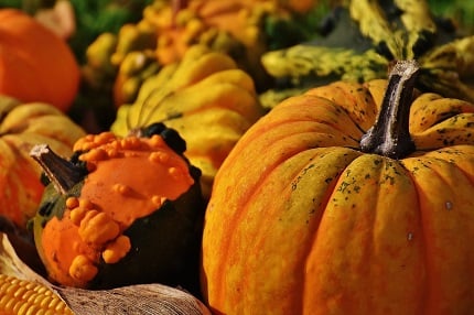 The Meaning of Thanksgiving Day