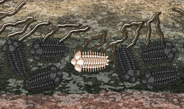 Science of Crude Oil Formation