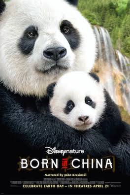 DisneyNature's Born in China: Compare and contrast organisms living in China