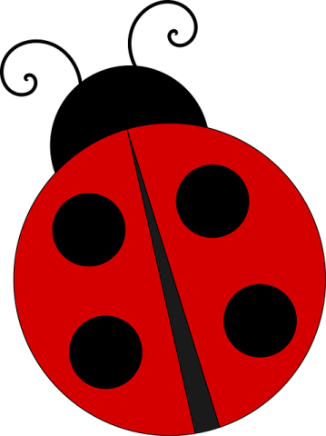 Ladybug Cards 0-20; dots; written number & number