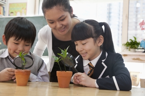 Crowding Can be Seedy