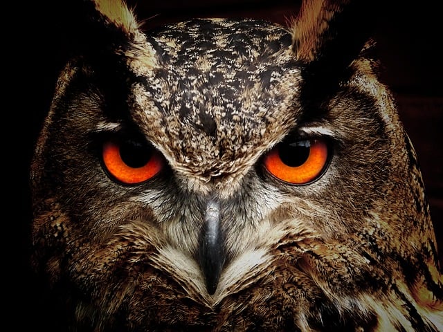Spooky symmetry: Fun with Reflective Symmetry