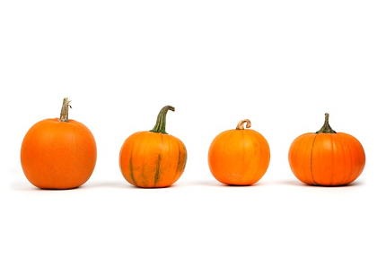 Halloween poems: Writing Activity