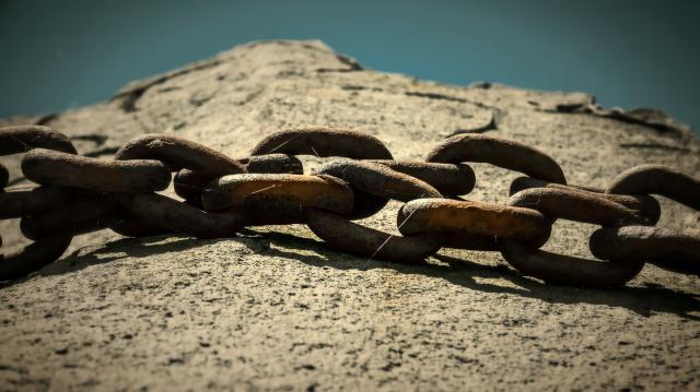 Nazi Germany - who voted for Hitler?