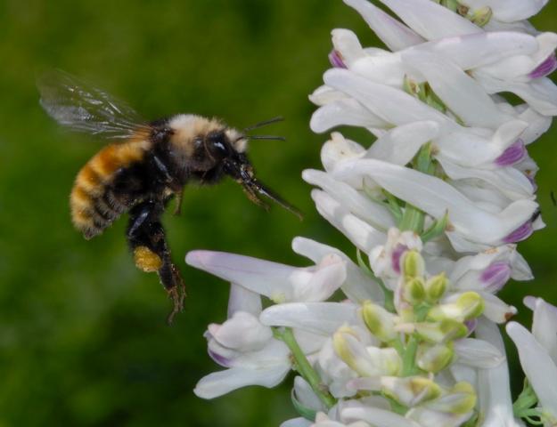 NSF Science Now: Episode 54