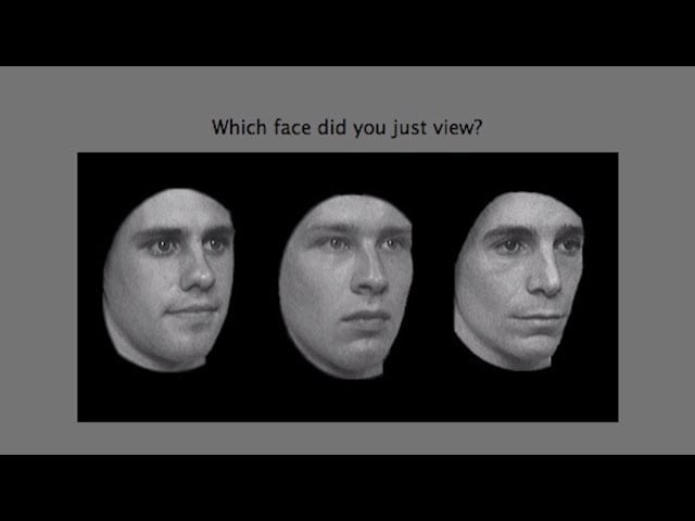 Face Blindness study sheds light on typical brain function - Science Nation
