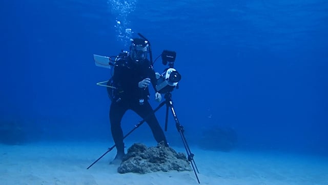 Mantis Cam allows humans to see like sea creatures