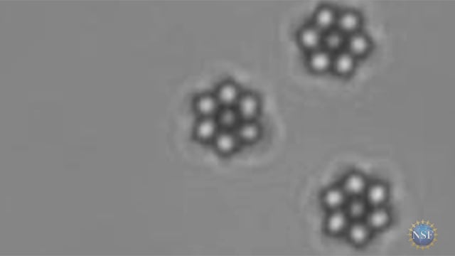 Micro-particles self-assemble into spinning gears